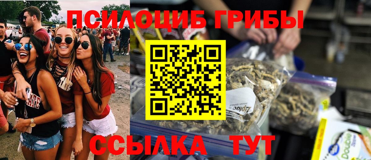 Карталы  Псилоцибиновые грибы GOLDEN TEACHER  Псилоцибиновые грибы ЛСД  Вход с VPN 